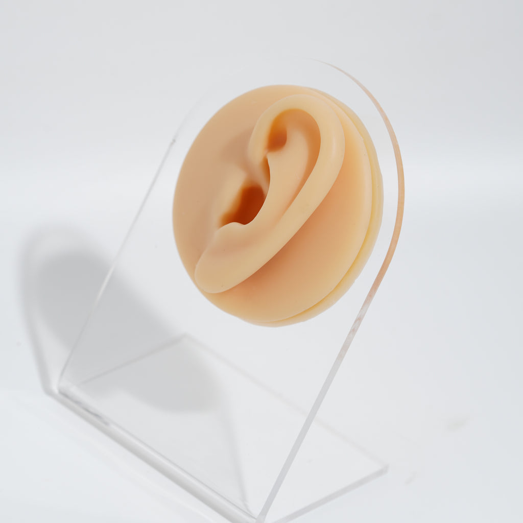 silicon piercing ears with acrylic stand