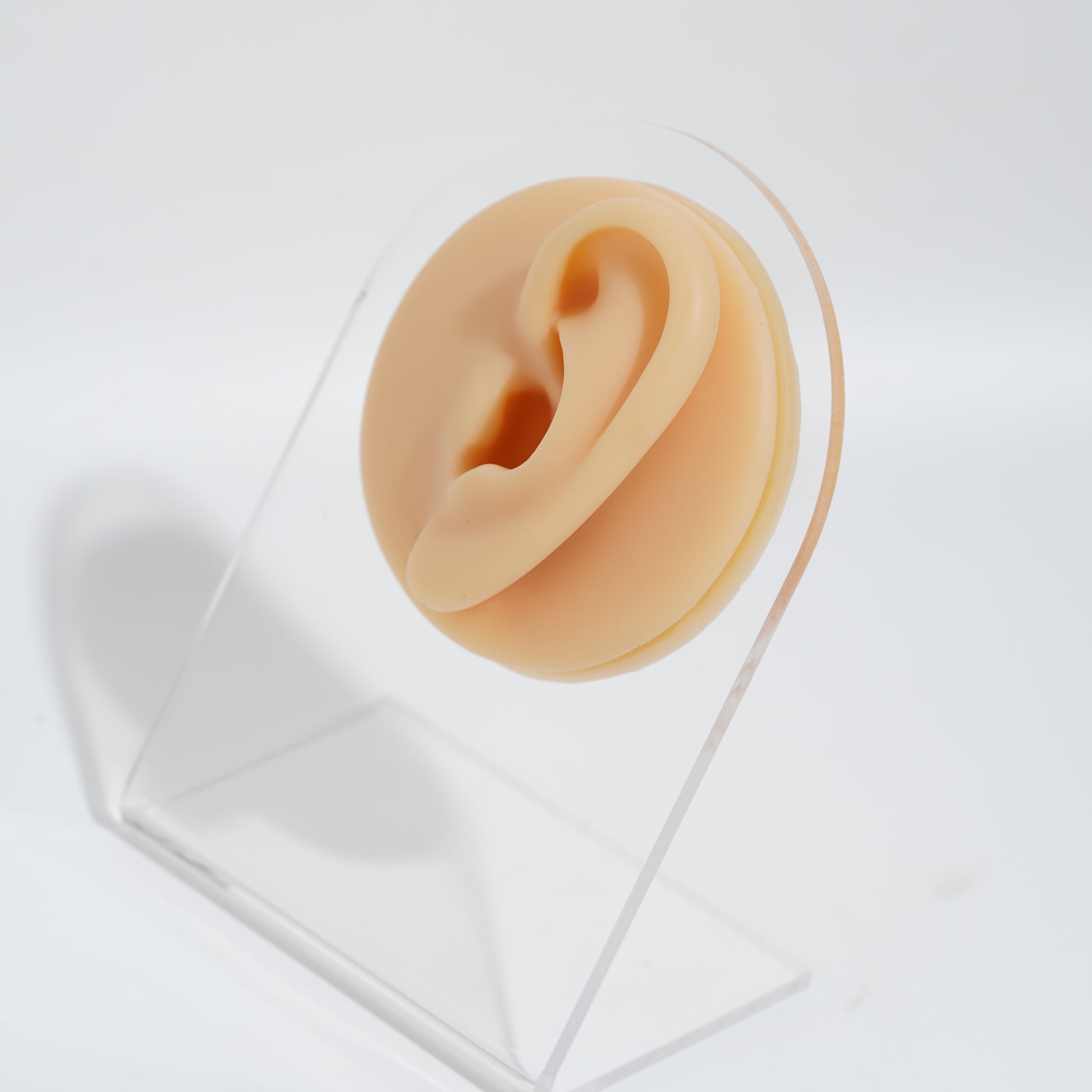 silicon piercing ears with acrylic stand