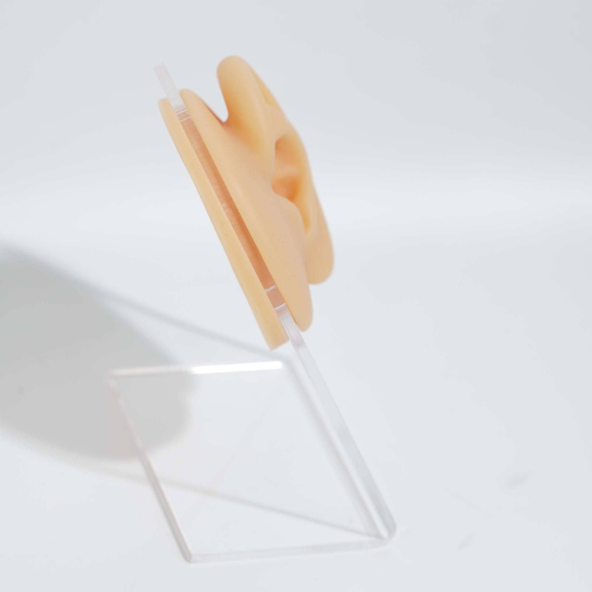 silicon piercing ears with acrylic stand