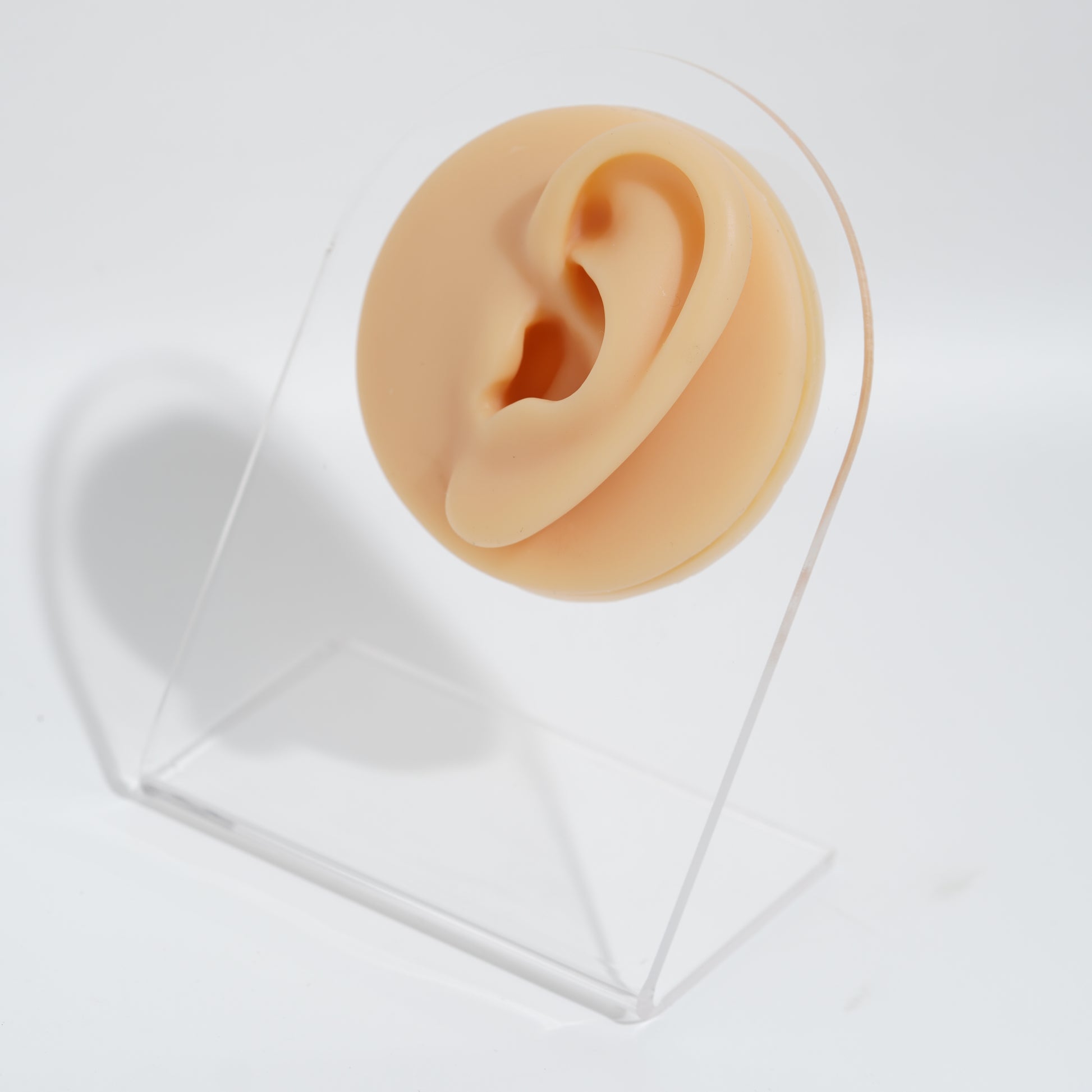 silicon piercing ears with acrylic stand