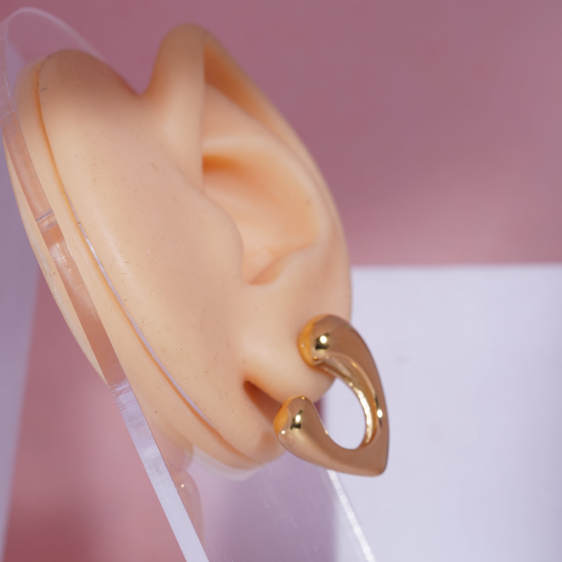 Celeste Curve Earrings for women's (73)