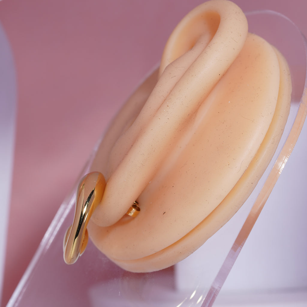 Celeste Curve Earrings for women's (73)