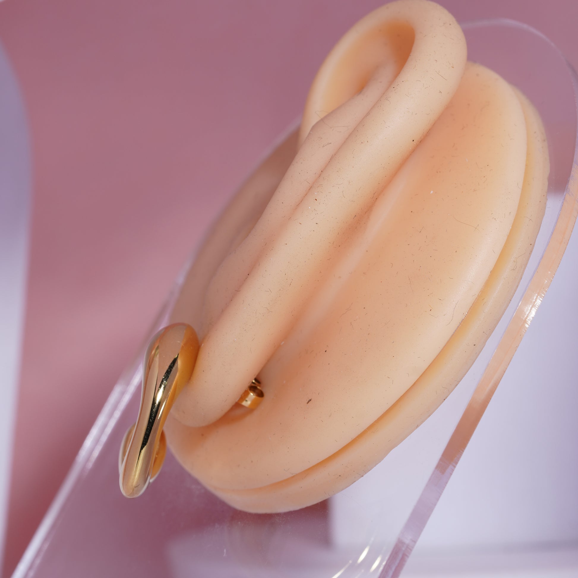 Celeste Curve Earrings for women's (73)