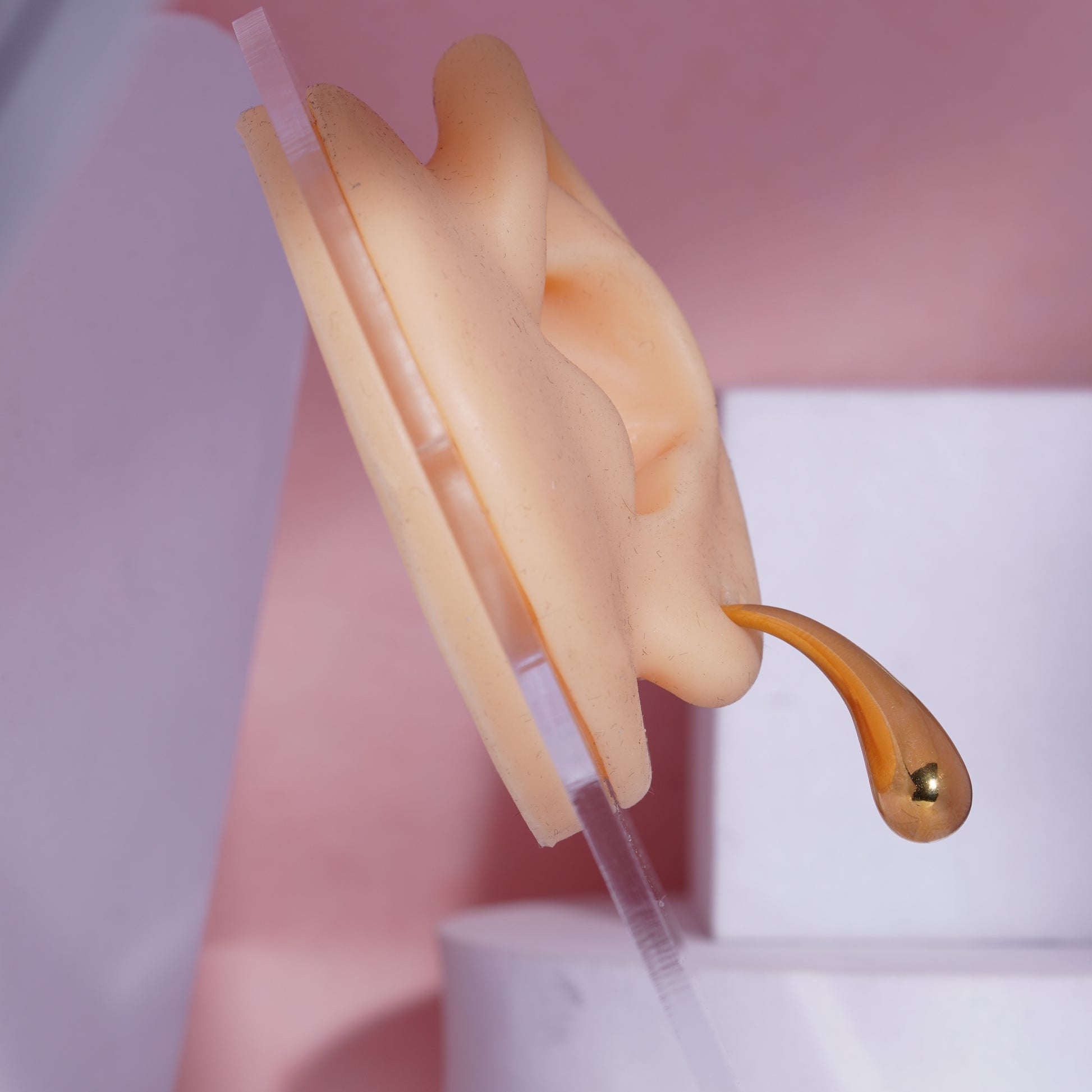 Golden Embrace Earrings for women's (72)