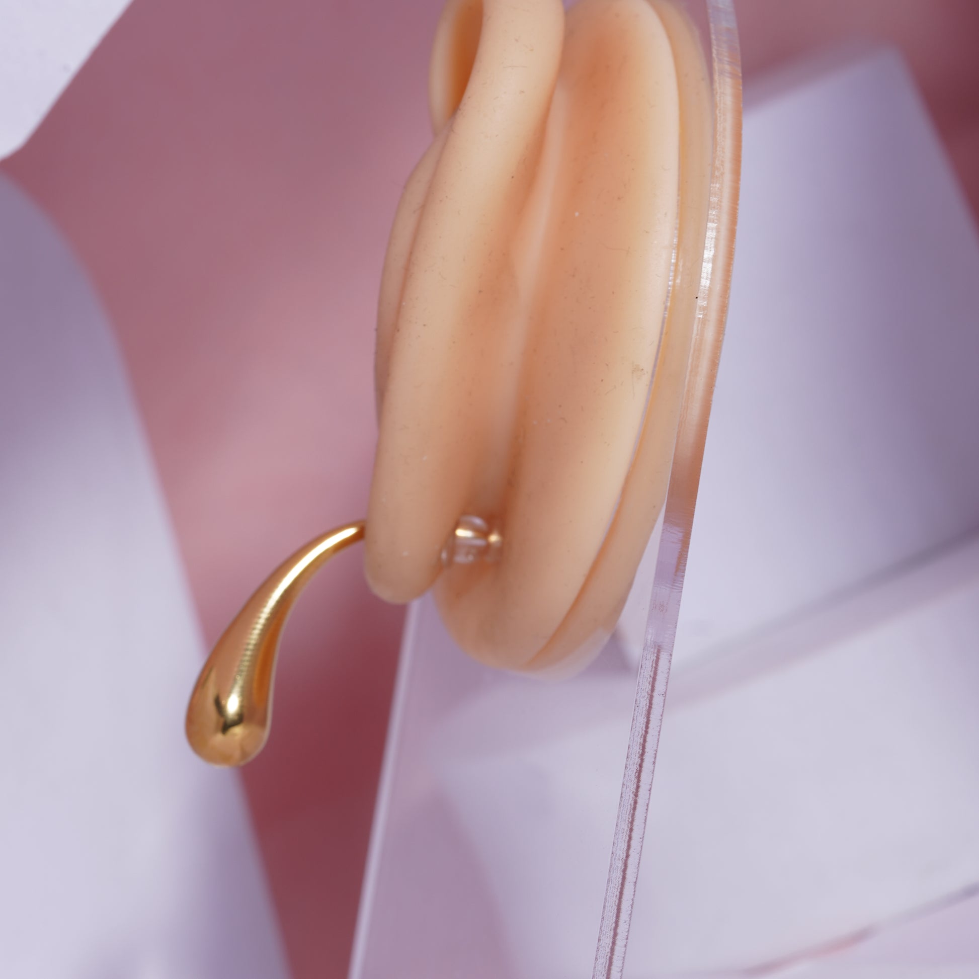 Golden Embrace Earrings for women's (72)