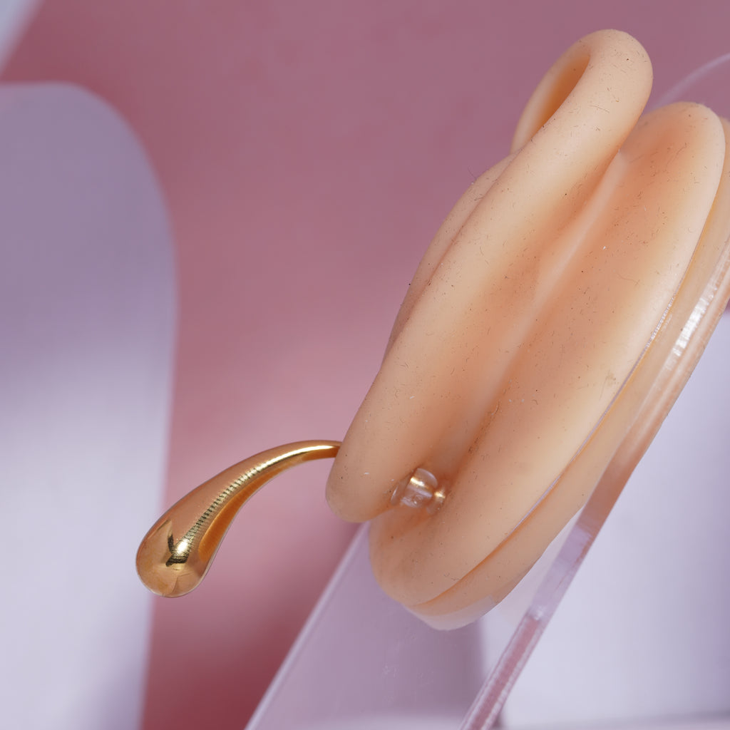 Golden Embrace Earrings for women's (72)