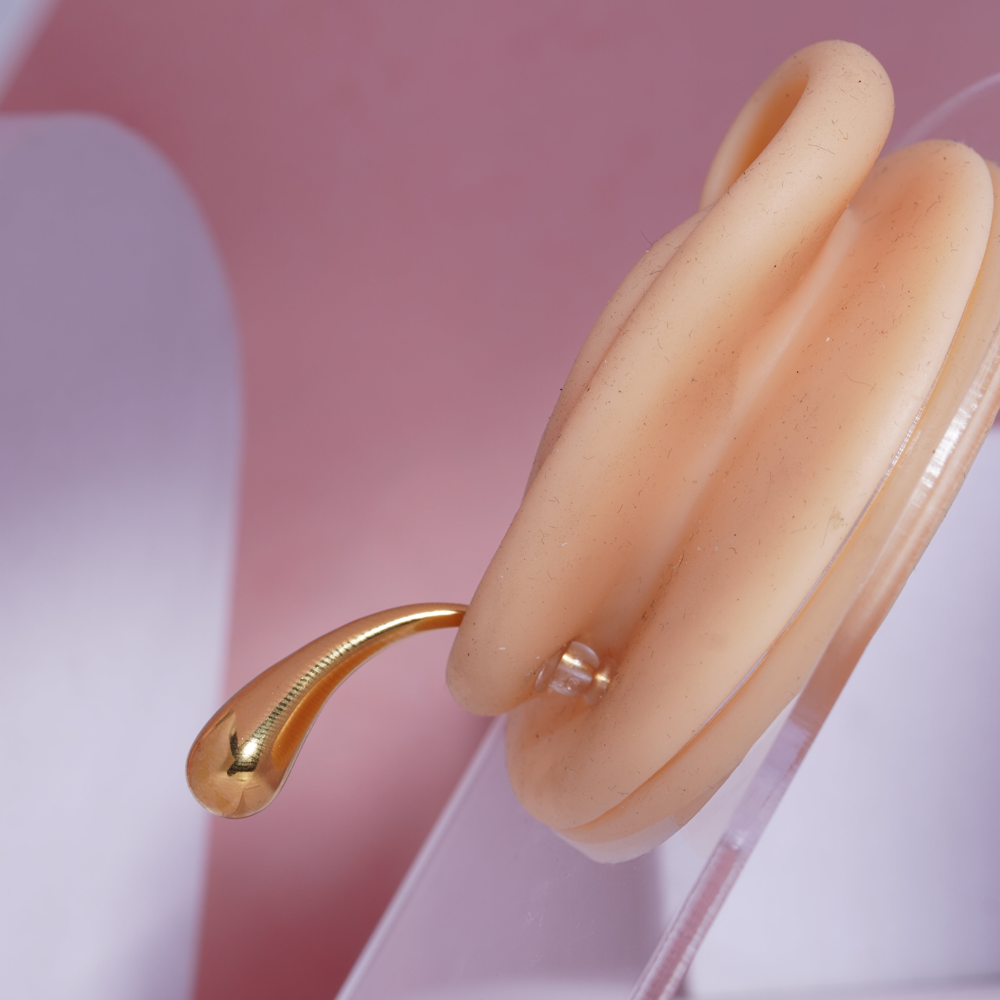 Golden Embrace Earrings for women's (72)