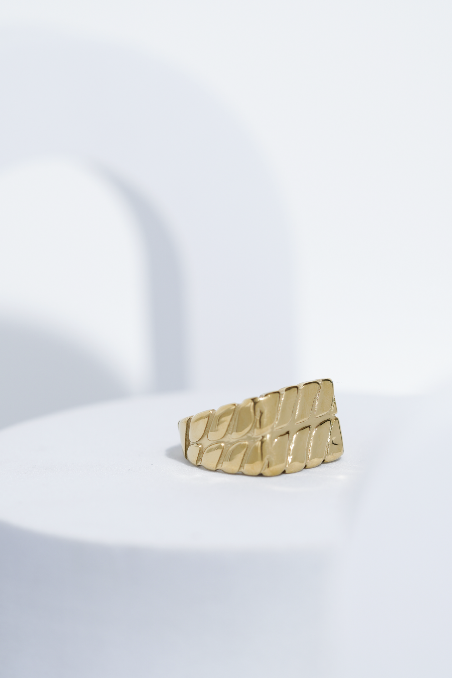Twisted Pattern Silver & Golden Shiney Ring For Men worldjewel.in men's ring