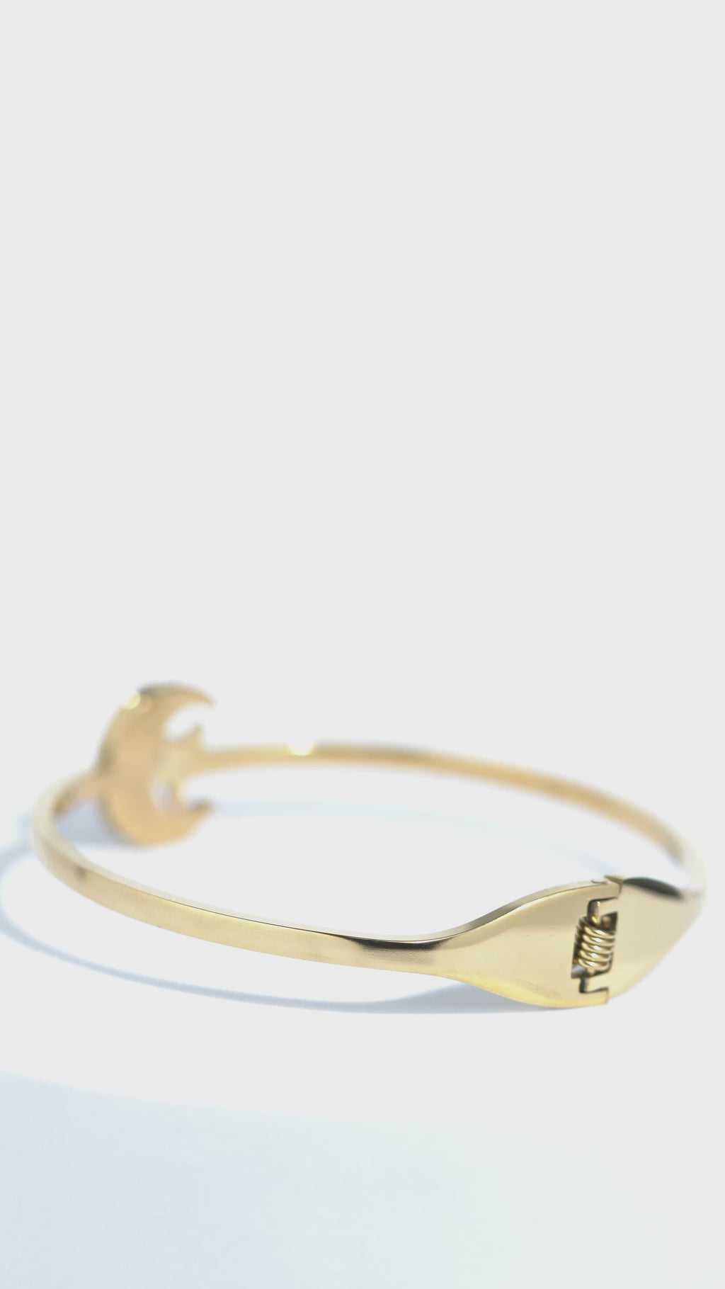 Seren Halo Stainless Steel Bangle Bracelet For Women