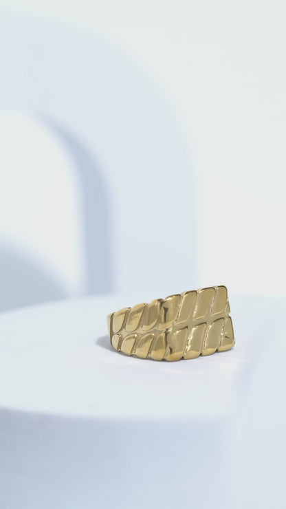 Twisted Pattern Silver & Golden Shiney Ring For Men