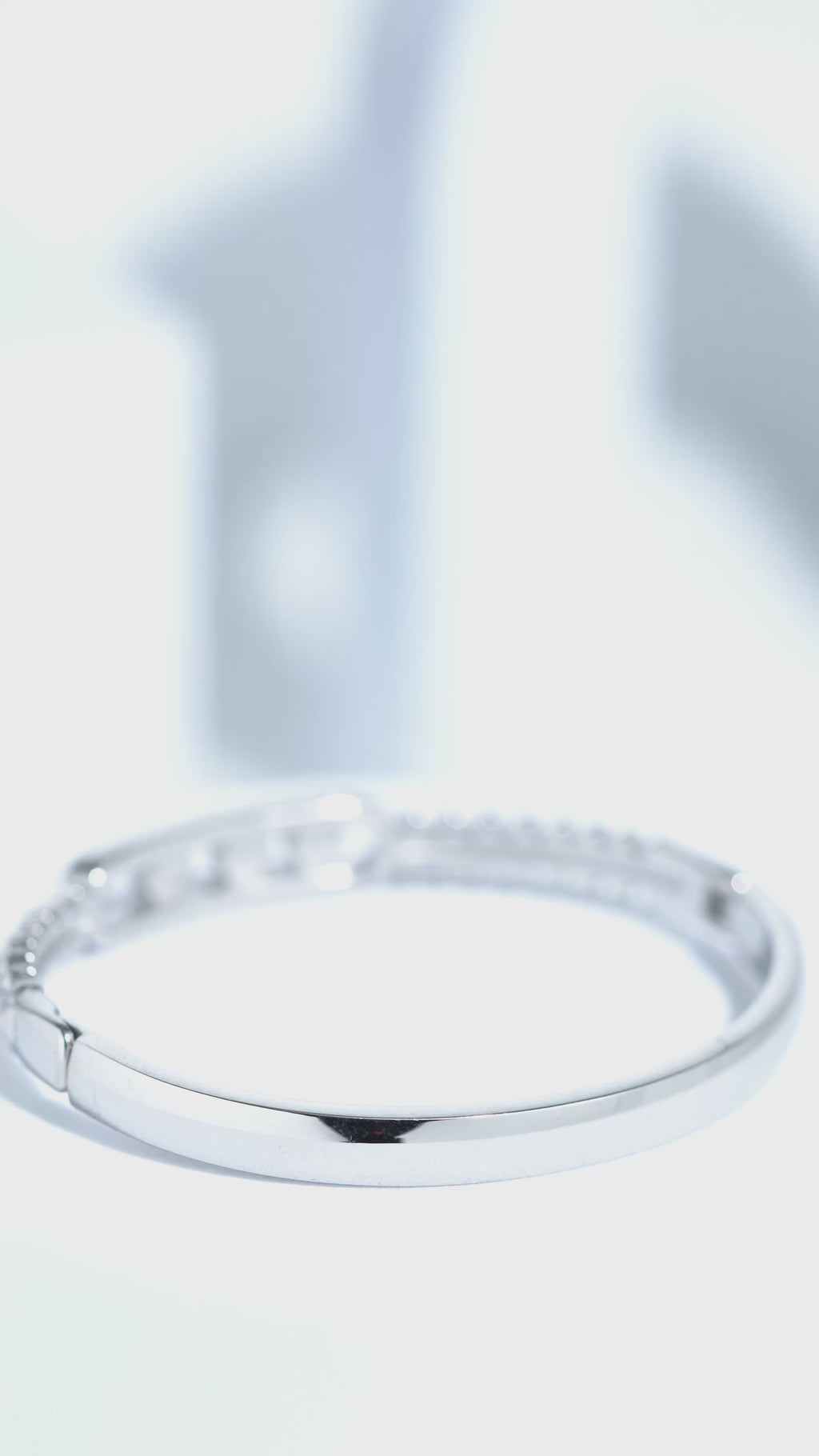 Gilded Rose Stainless Steel Bangle Bracelet For Women