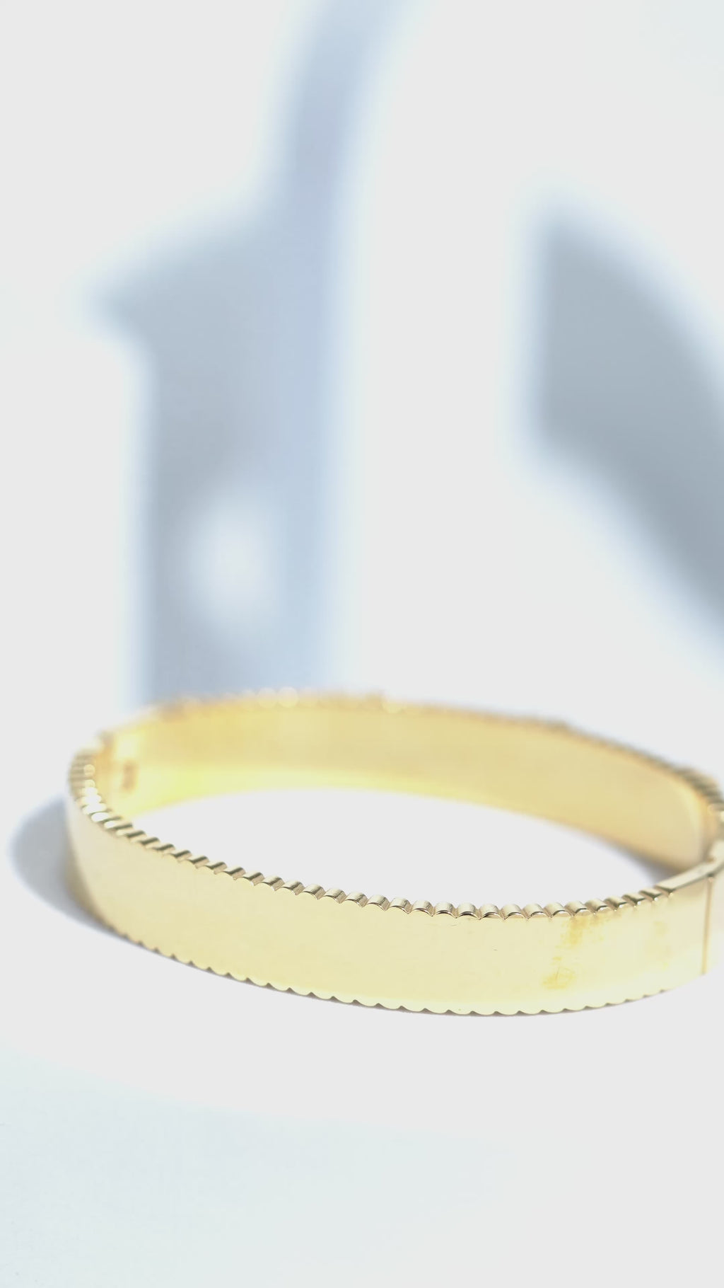 Luxe Ringlet Stainless Steel Bangle Bracelet For Women