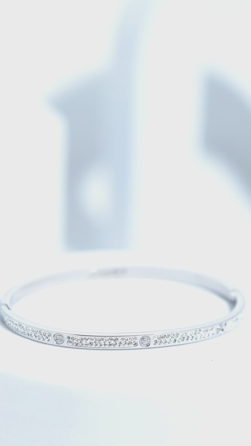 Silken Hue Stainless Steel Bangle Bracelet For Women