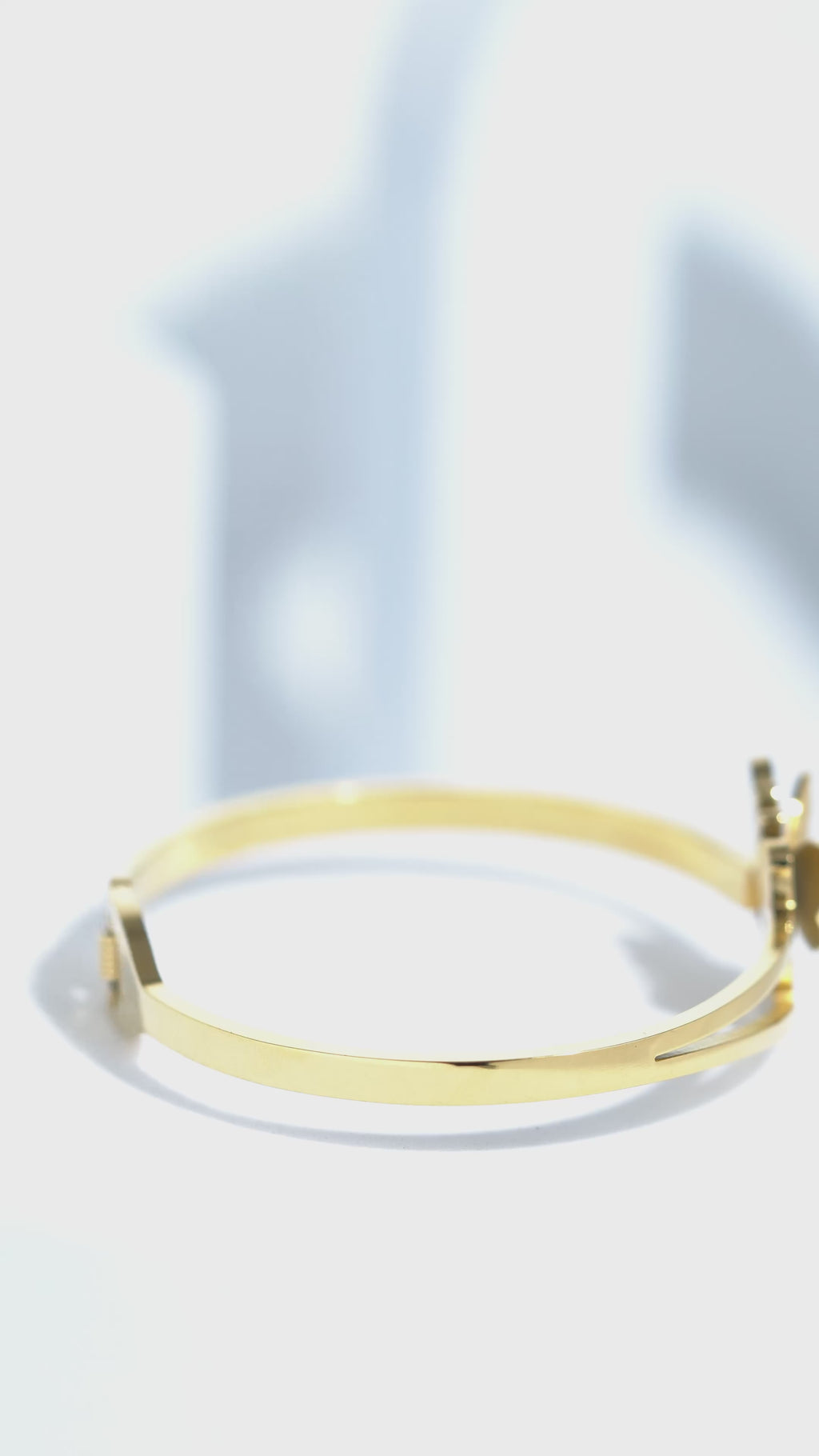 Velvet Trace Stainless Steel Bangle Bracelet For Women